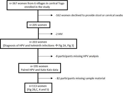 Hookworm infection associates with a vaginal Type 1/Type 2 immune signature and increased HPV load